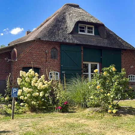 Reetdachhaus Suensbarg
